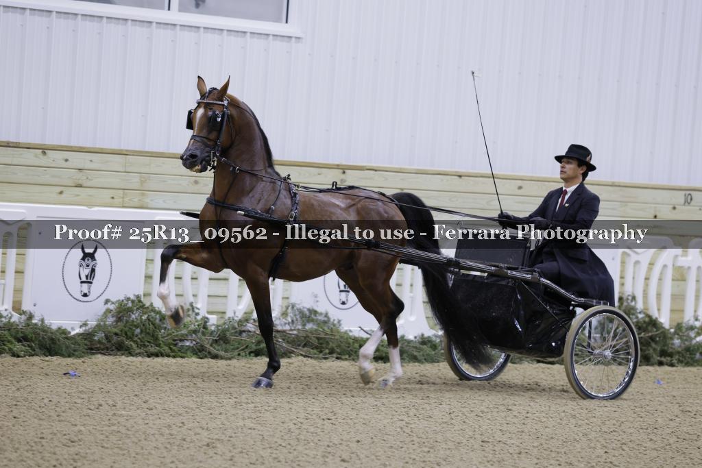 Proof 25R13_09562