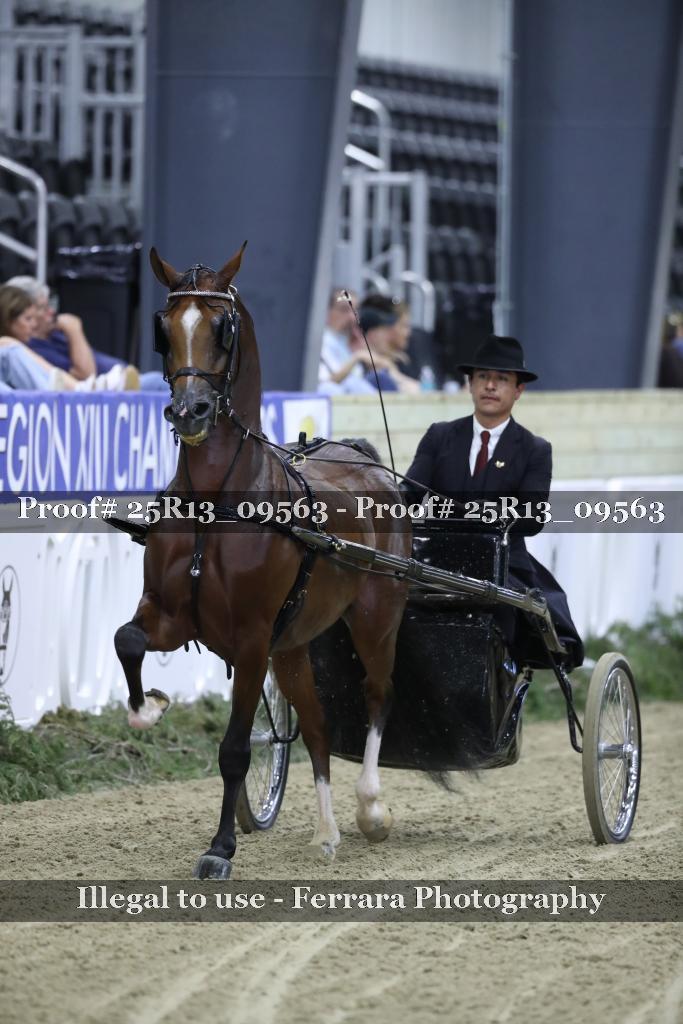Proof 25R13_09563
