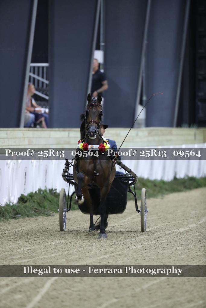 Proof 25R13_09564