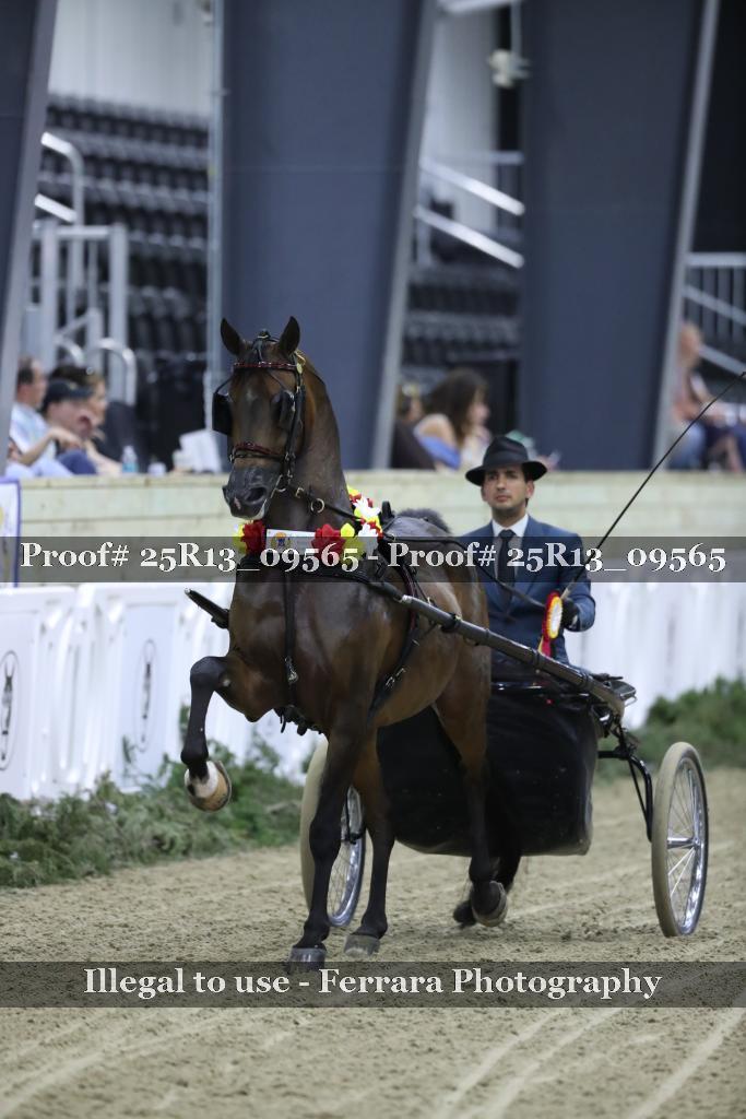 Proof 25R13_09565
