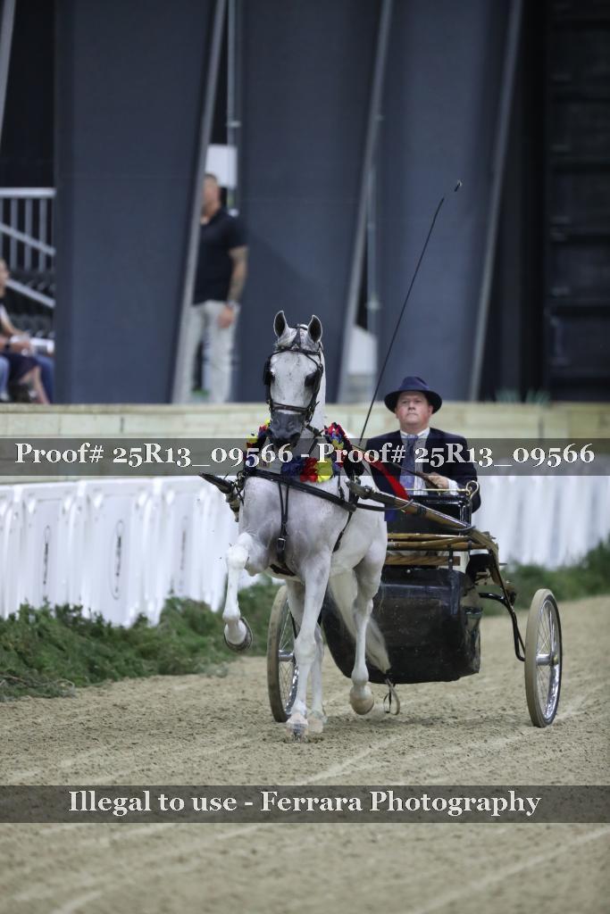 Proof 25R13_09566