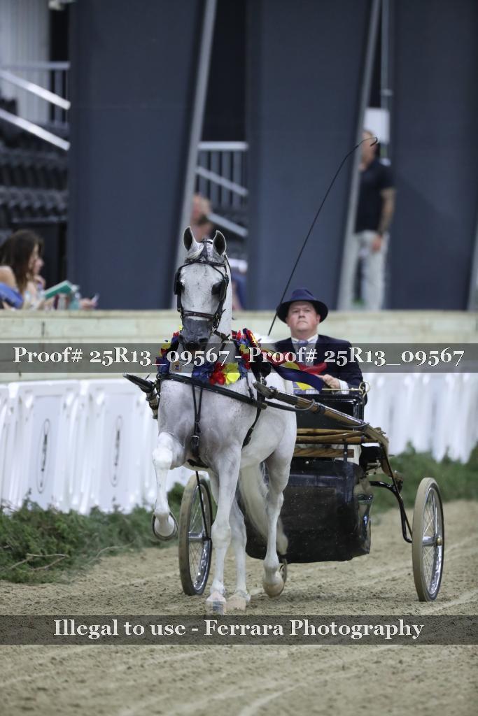 Proof 25R13_09567