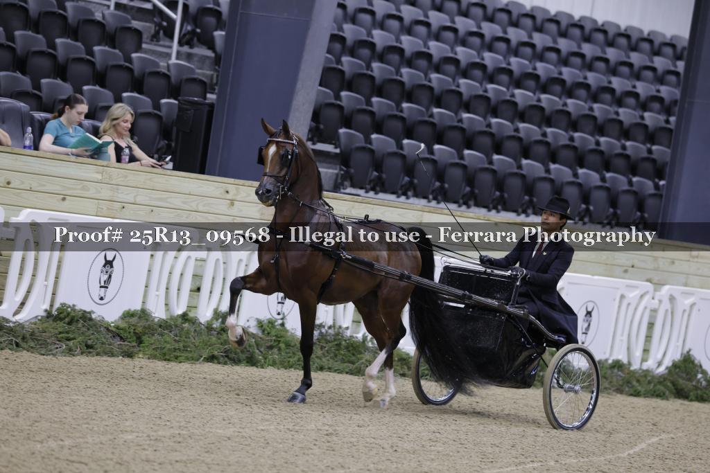 Proof 25R13_09568