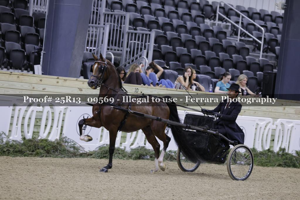 Proof 25R13_09569