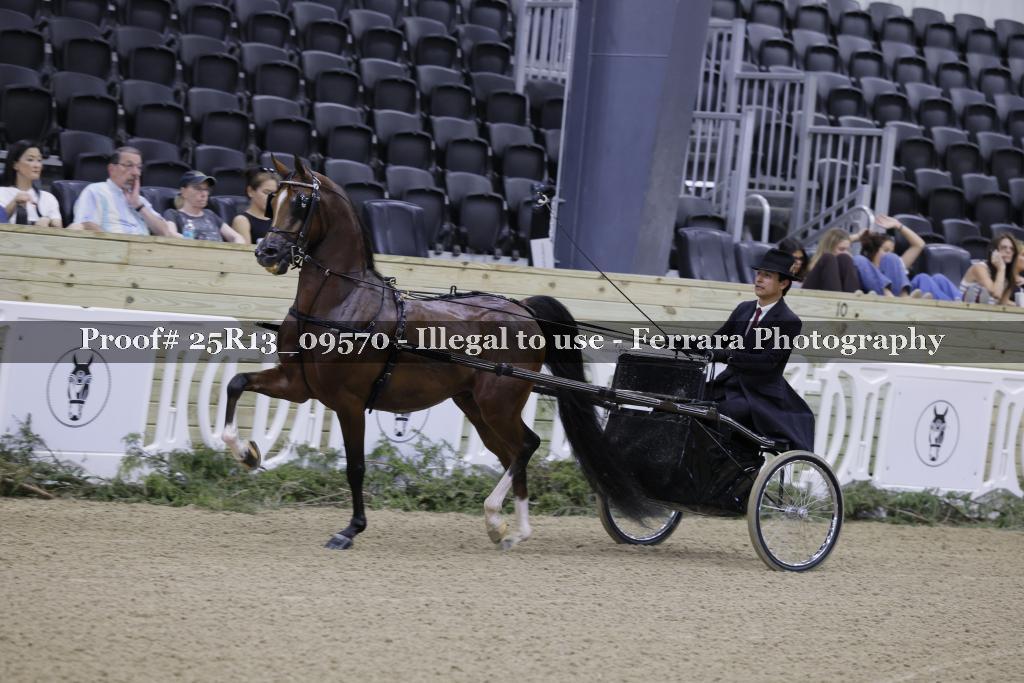 Proof 25R13_09570