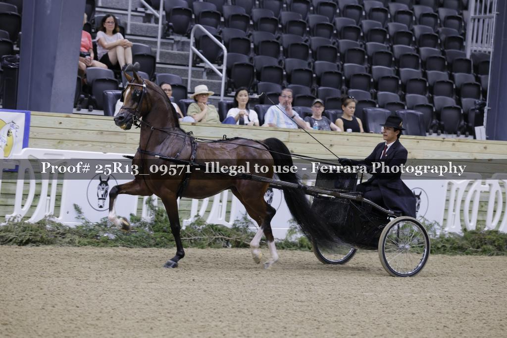 Proof 25R13_09571