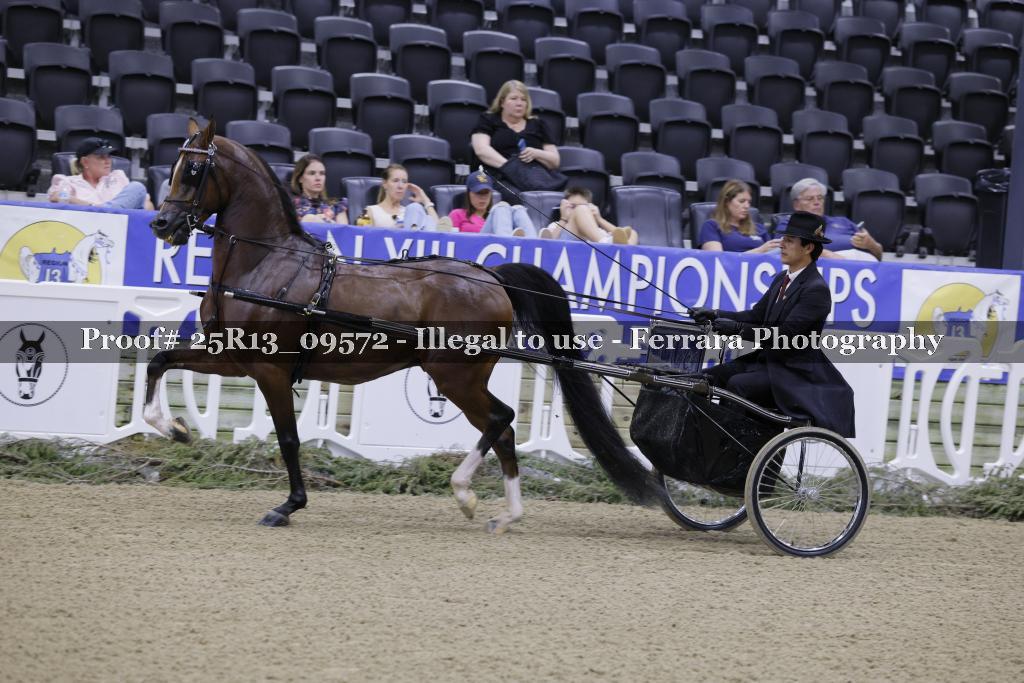 Proof 25R13_09572