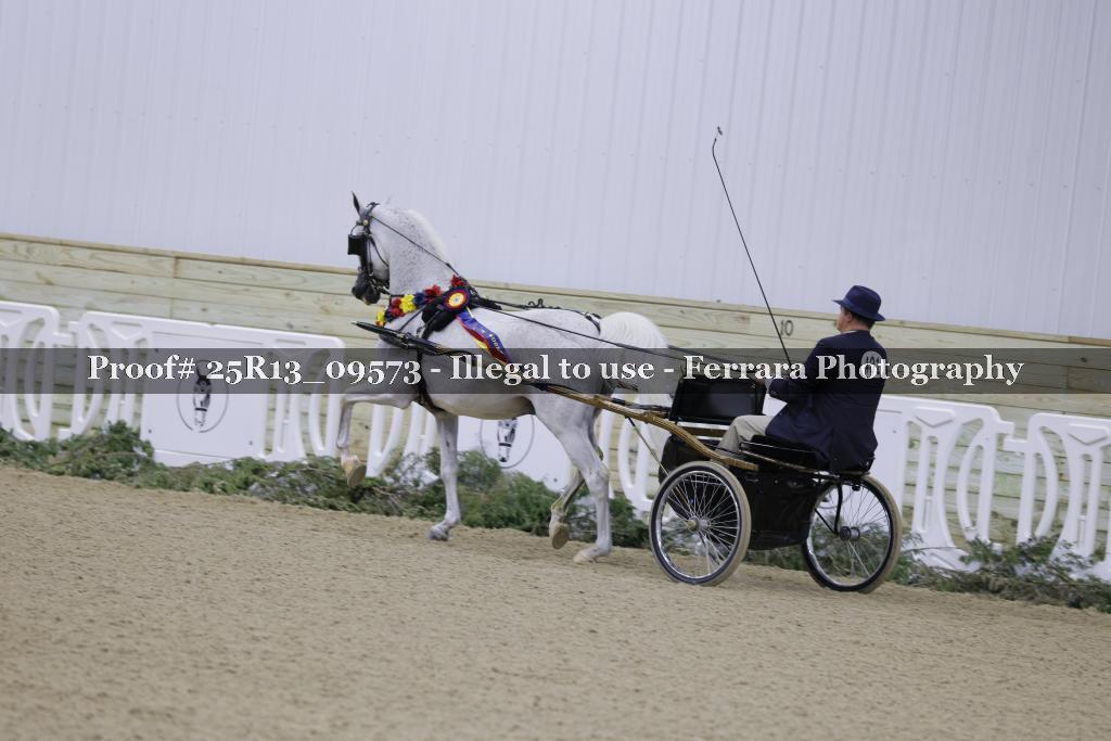 Proof 25R13_09573