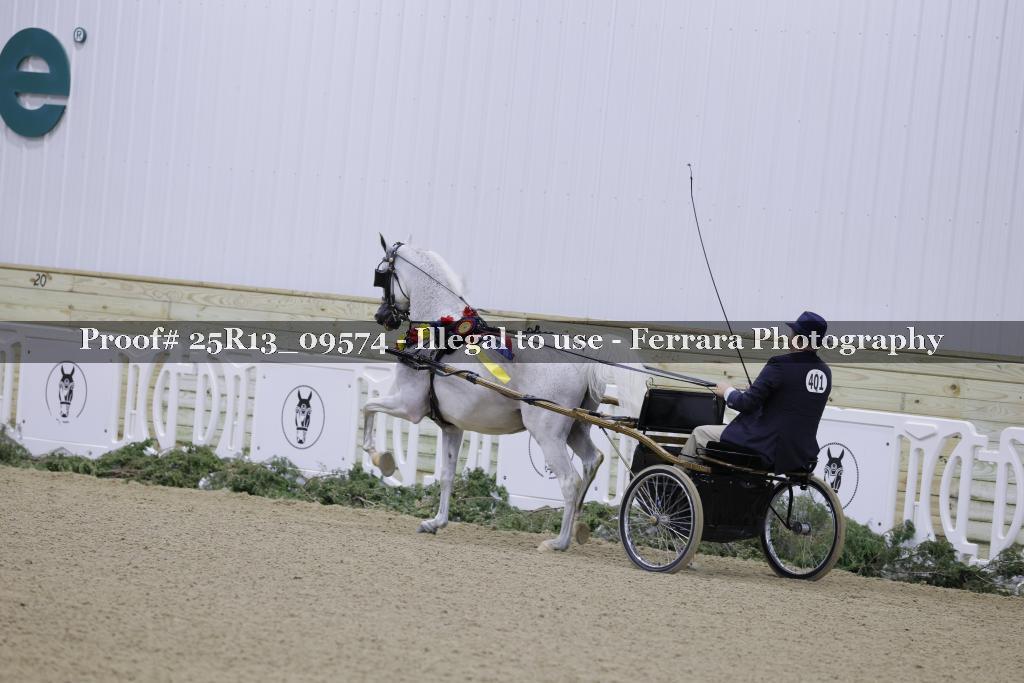 Proof 25R13_09574