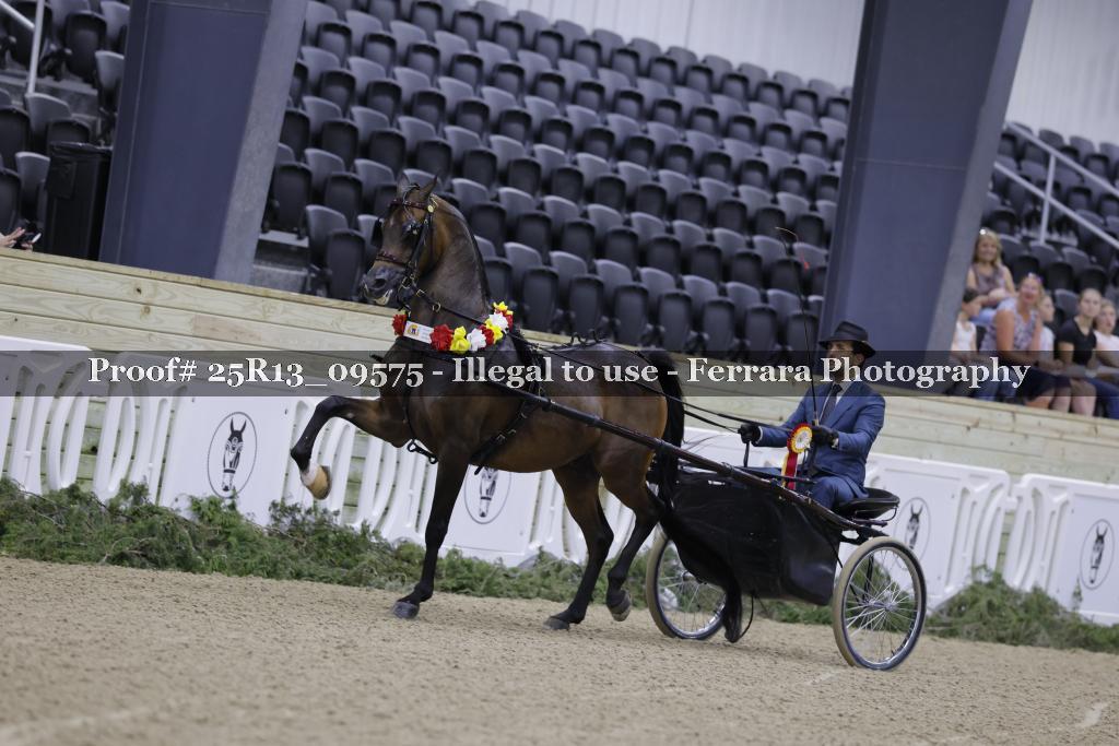 Proof 25R13_09575