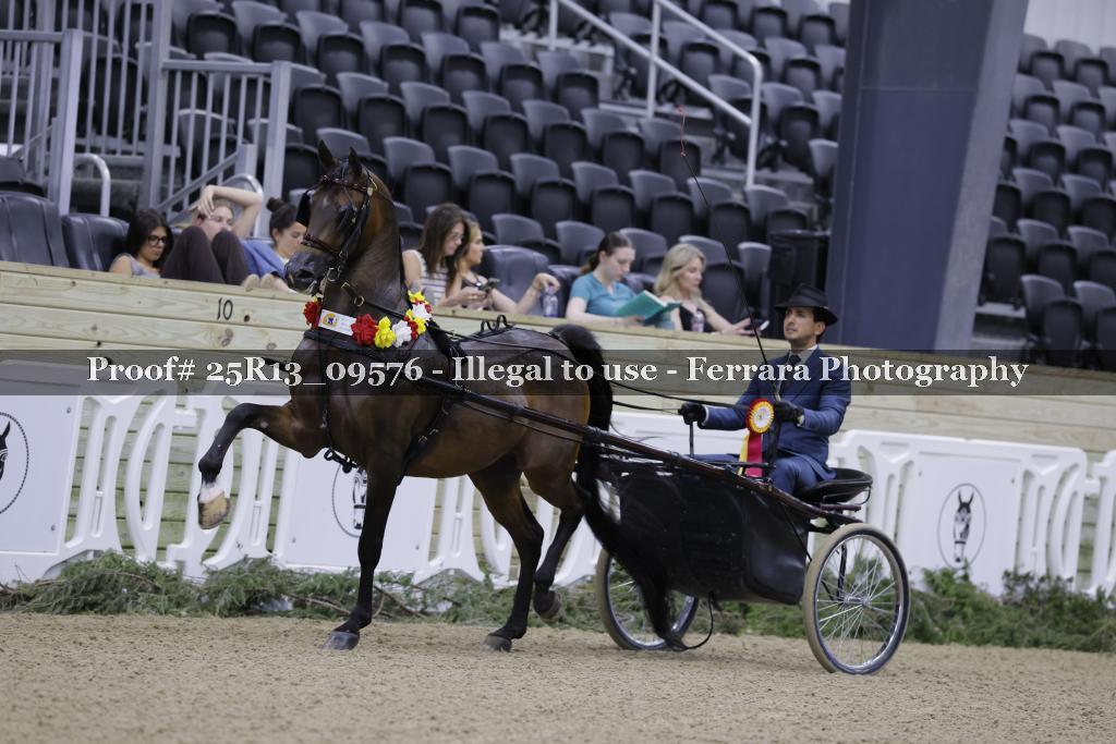 Proof 25R13_09576