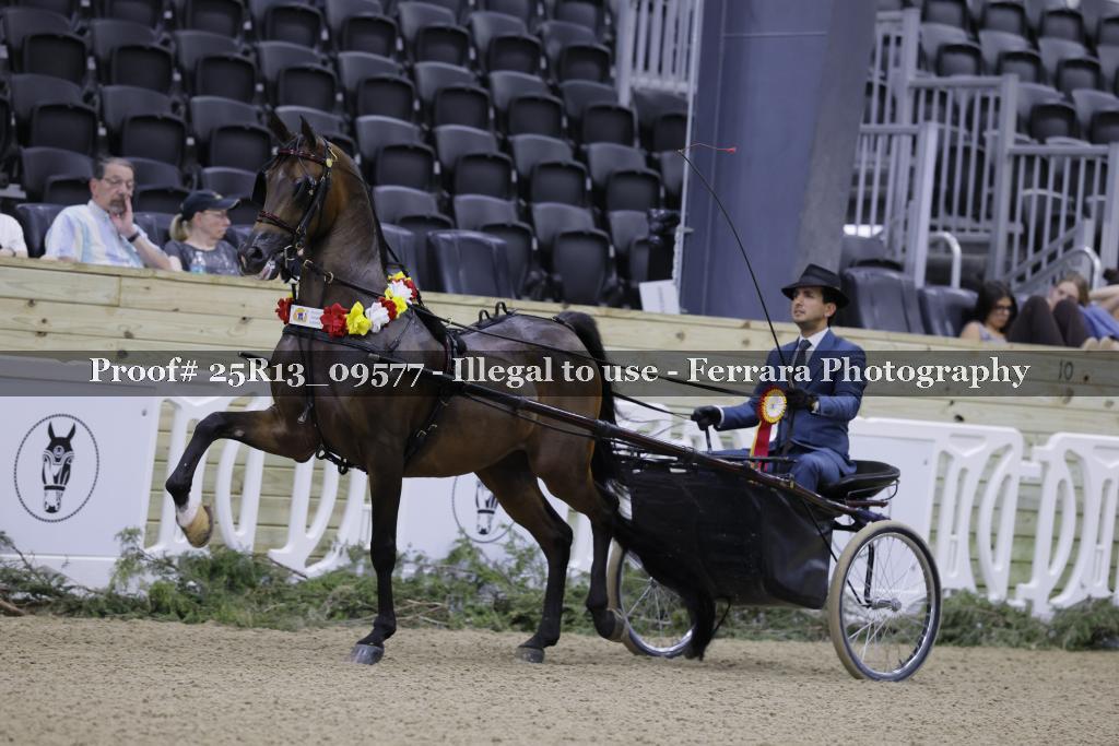 Proof 25R13_09577