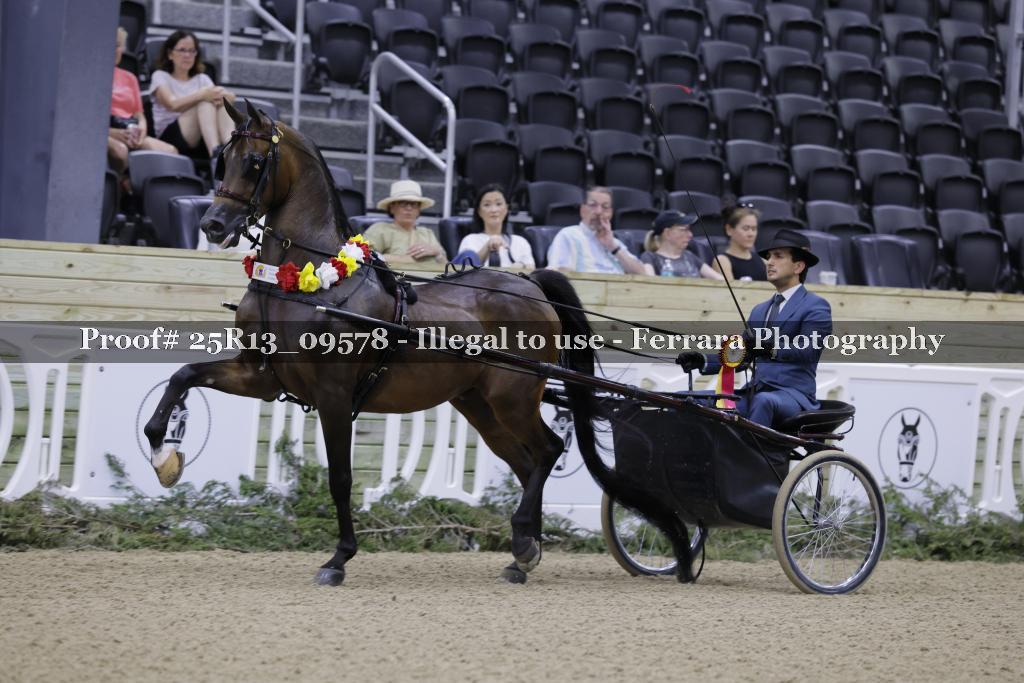 Proof 25R13_09578