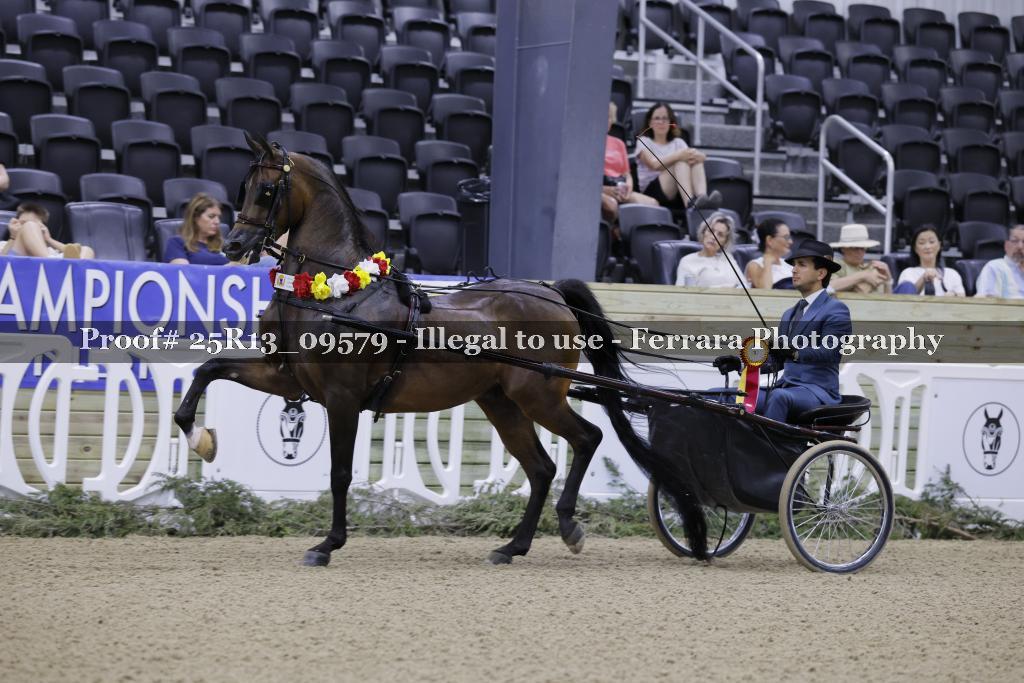 Proof 25R13_09579