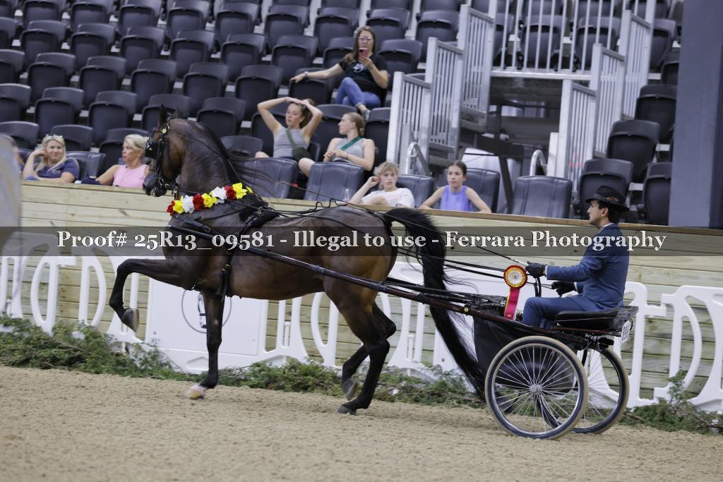 Proof 25R13_09581