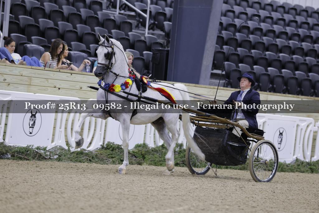 Proof 25R13_09582