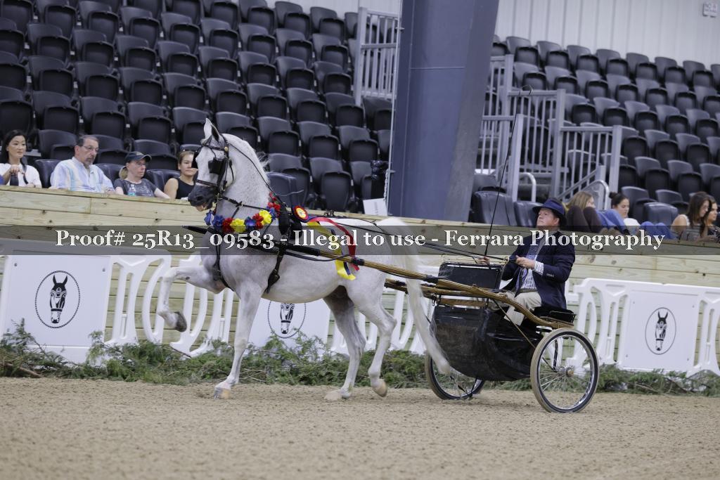 Proof 25R13_09583