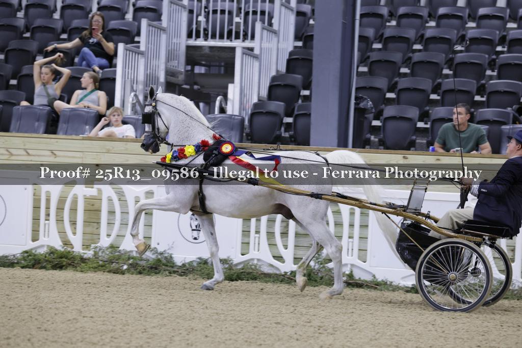 Proof 25R13_09586