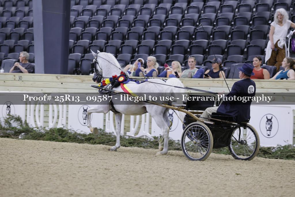 Proof 25R13_09587