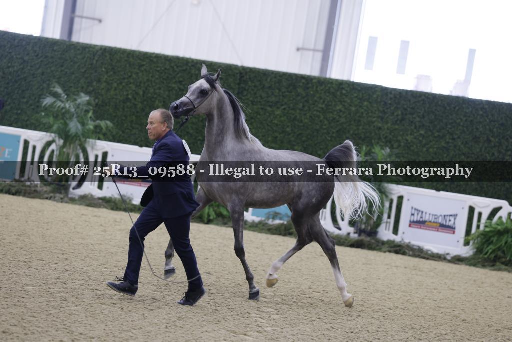 Proof 25R13_09588
