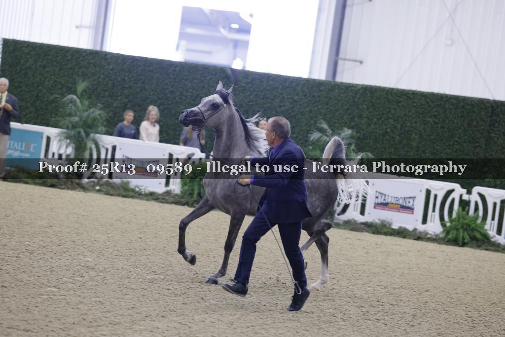 Proof 25R13_09589