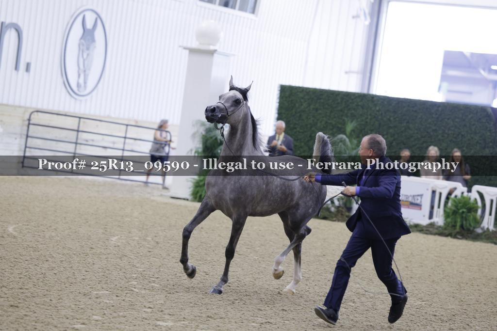 Proof 25R13_09590