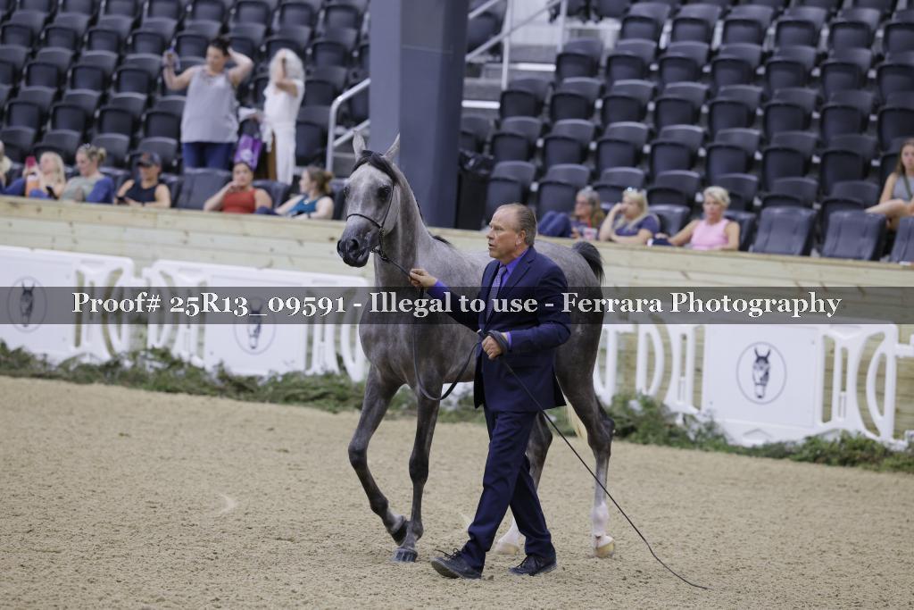 Proof 25R13_09591