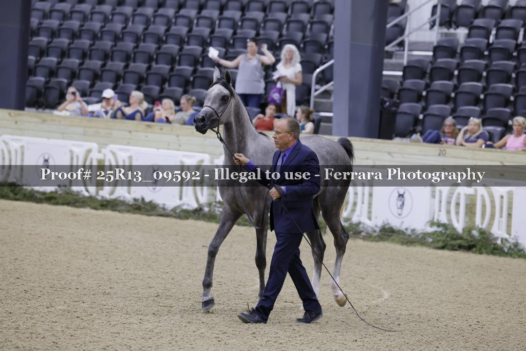 Proof 25R13_09592