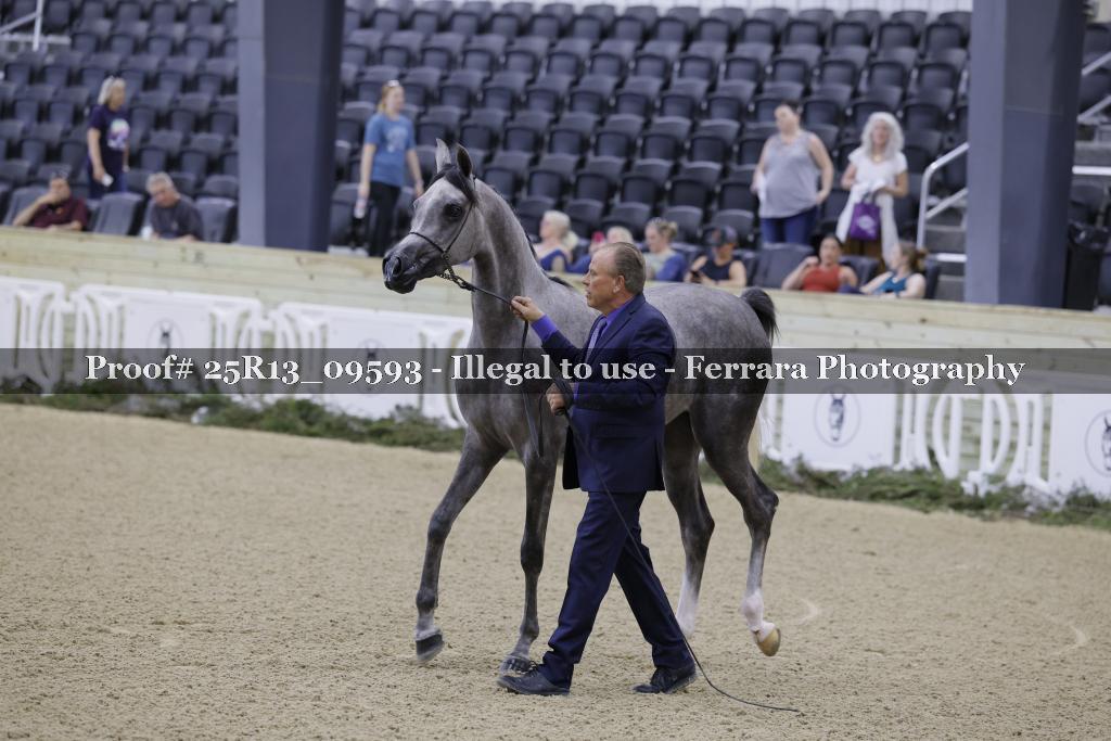 Proof 25R13_09593