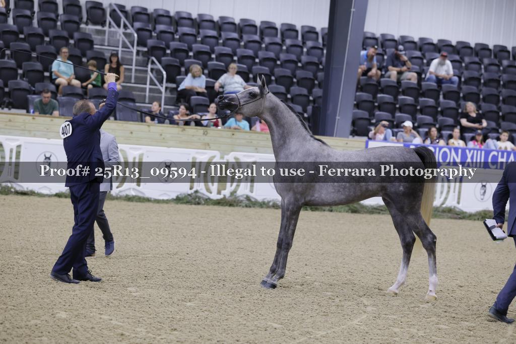 Proof 25R13_09594