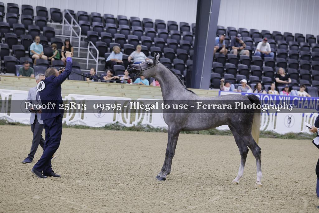 Proof 25R13_09595