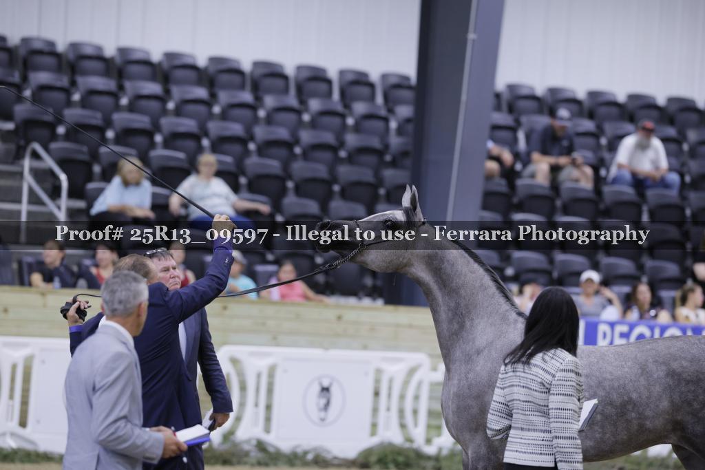 Proof 25R13_09597