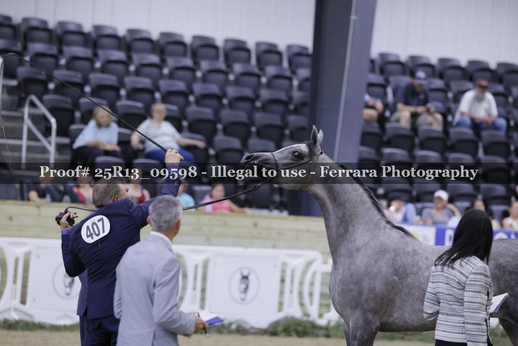 Proof 25R13_09598