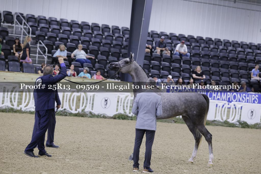Proof 25R13_09599