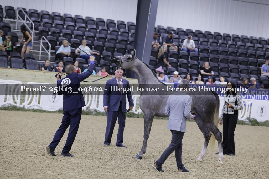 Proof 25R13_09602
