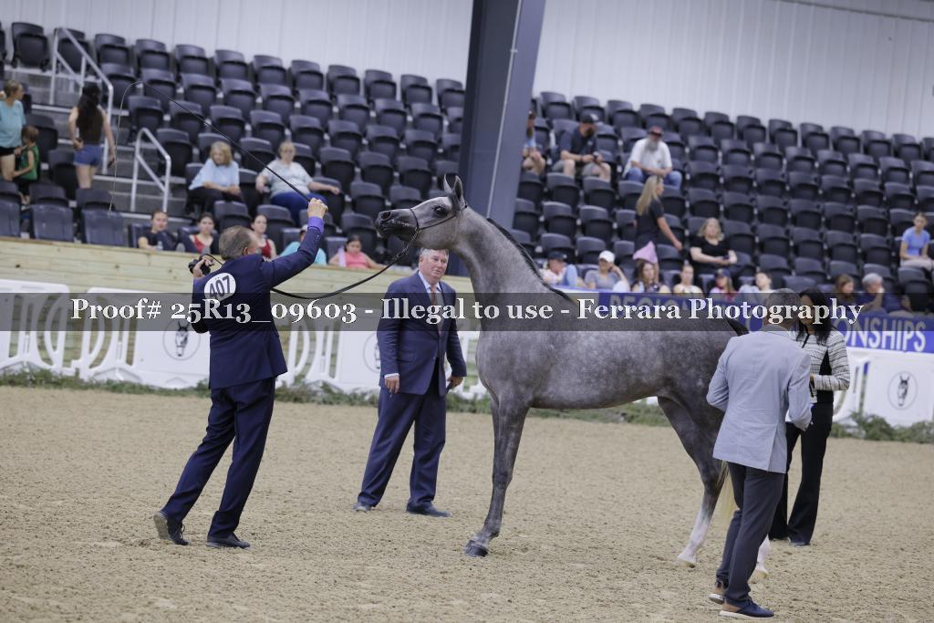Proof 25R13_09603