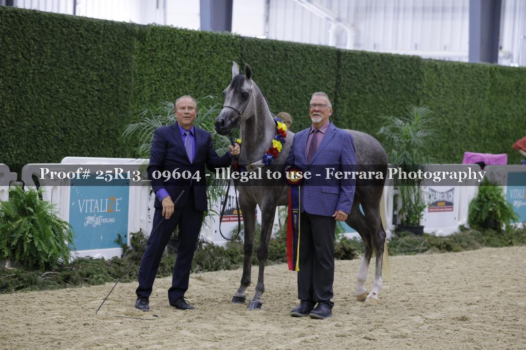 Proof 25R13_09604
