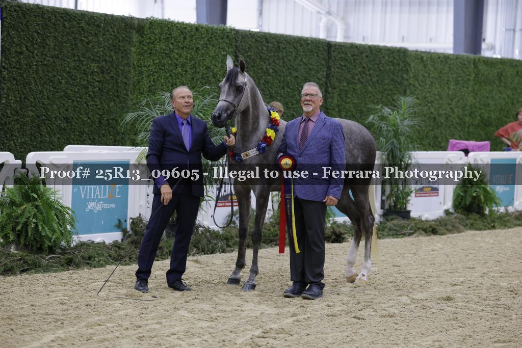 Proof 25R13_09605