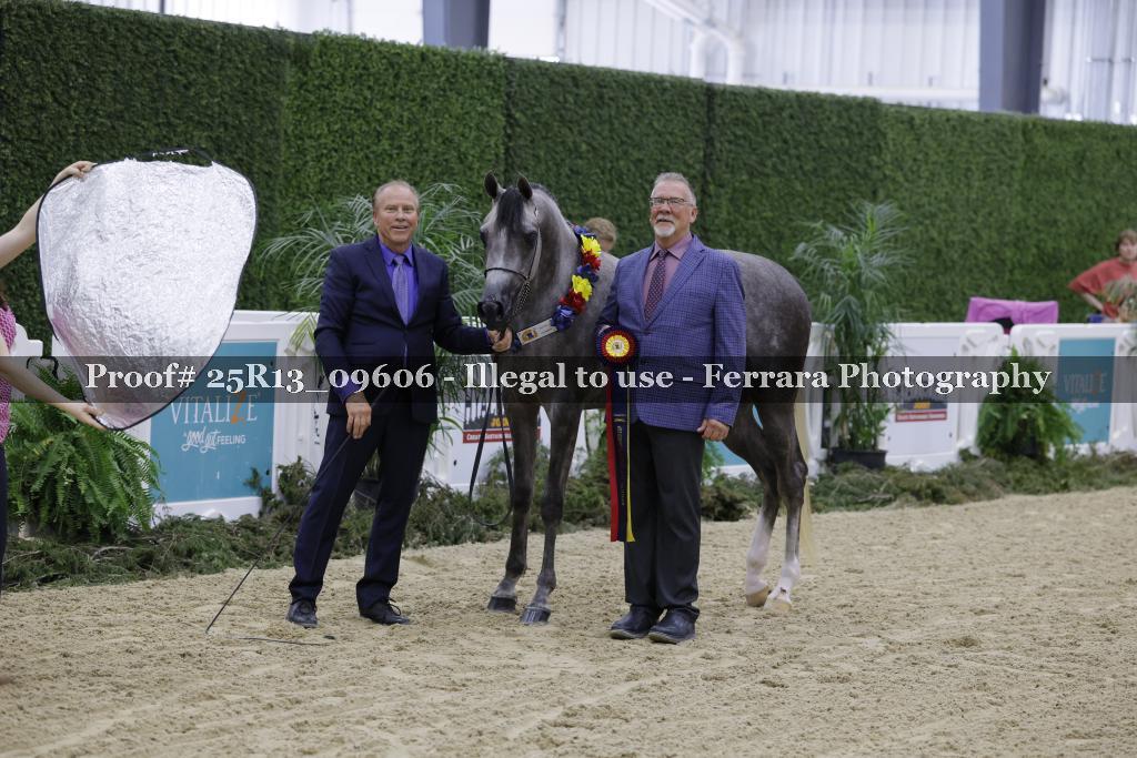 Proof 25R13_09606