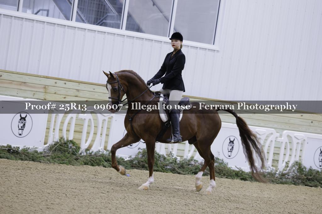 Proof 25R13_09607