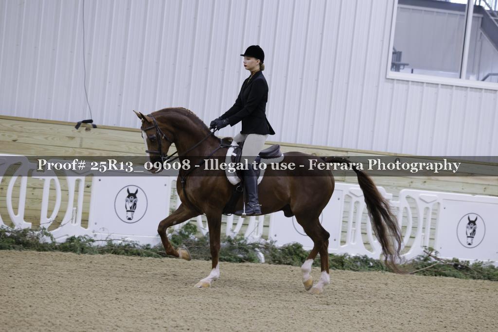 Proof 25R13_09608