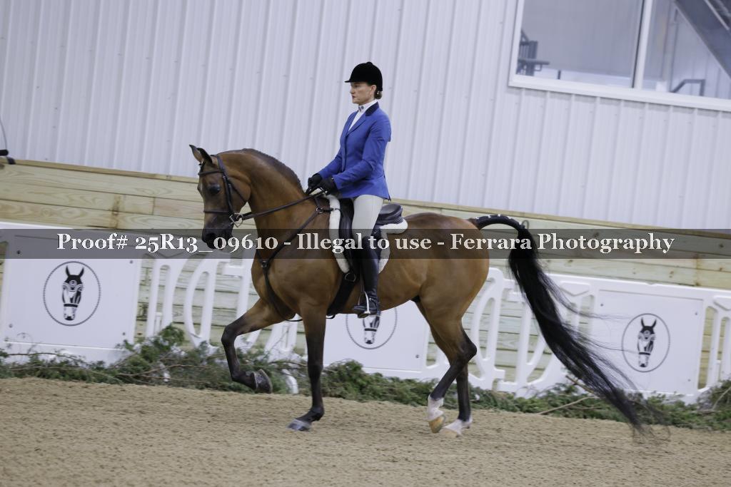 Proof 25R13_09610