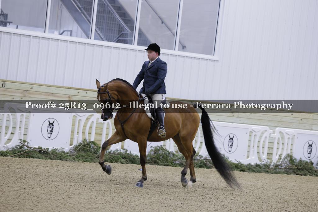 Proof 25R13_09612