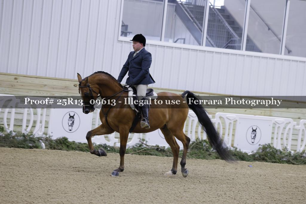 Proof 25R13_09613