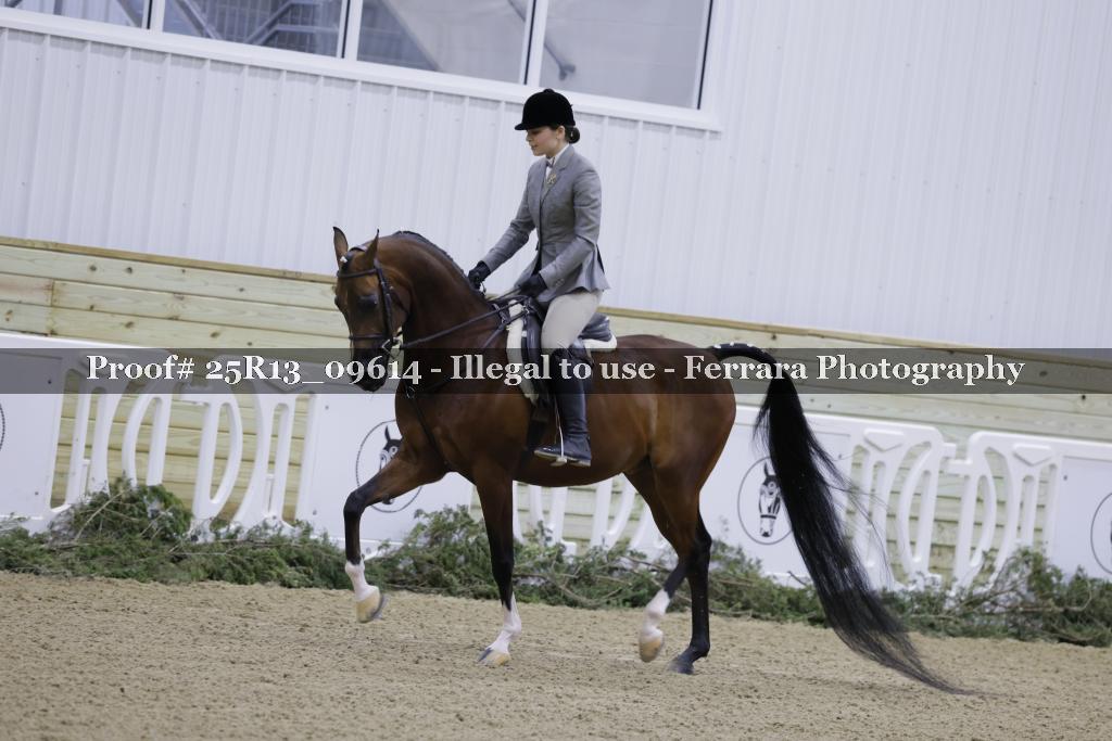 Proof 25R13_09614