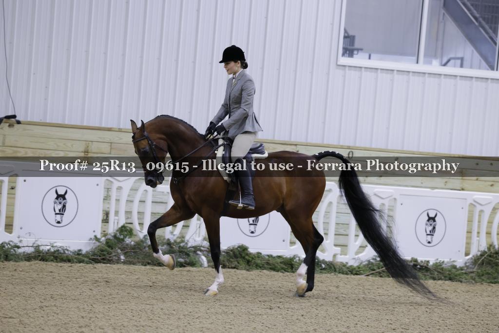 Proof 25R13_09615
