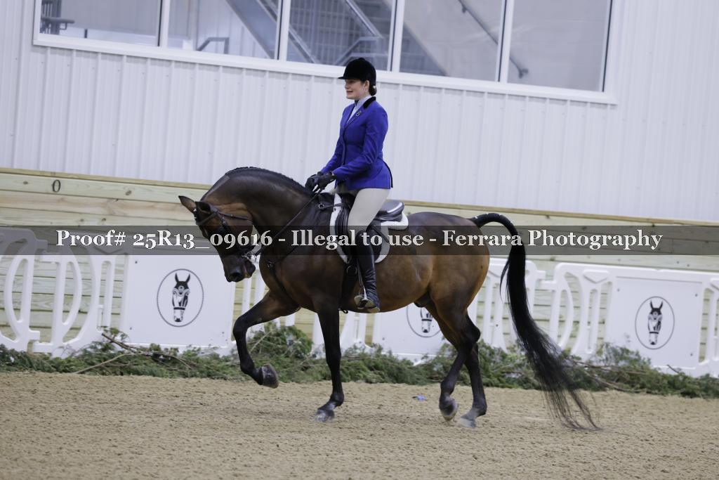 Proof 25R13_09616
