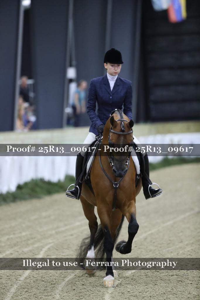 Proof 25R13_09617