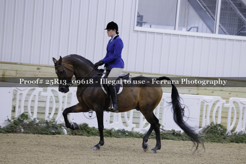 Proof 25R13_09618