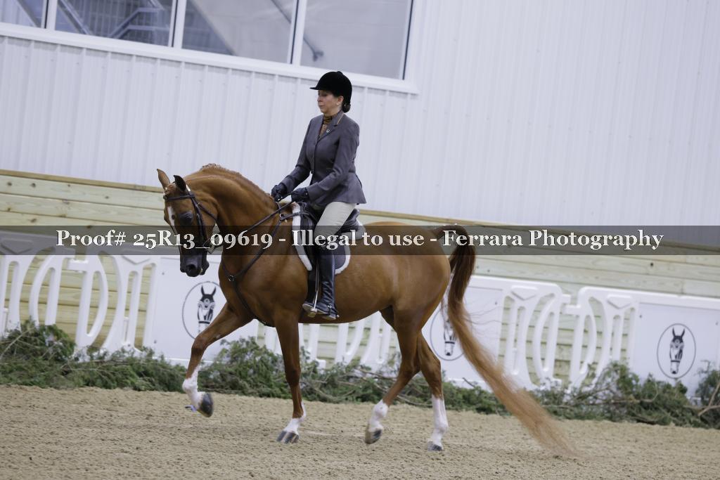 Proof 25R13_09619